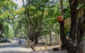 Banaswadi Escort Service Near Me