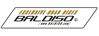 active4life-logo-baldiso
