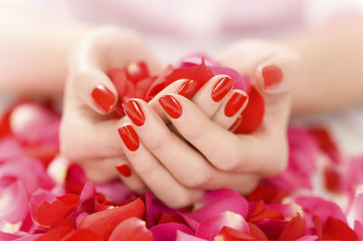 Shellac Shellac