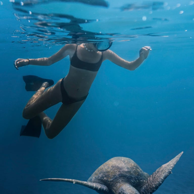 Underwater scene featuring a swimmer in a black bikini snorkeling near a sea turtle gliding gracefully over the ocean floor, surrounded by vibrant coral reef formations and illuminated by natural light filtering through the water’s surface