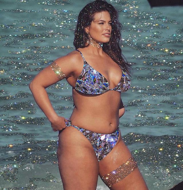 Art Work of  Sara Shakeel with Ashley Graham in bikini