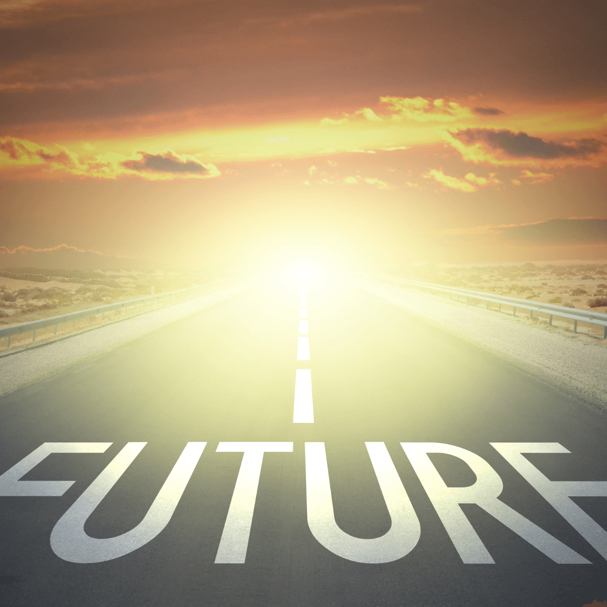 Untitled design (11).png
