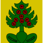 TV Heimiswil