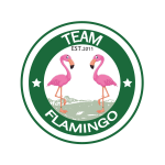 Team Flamingo