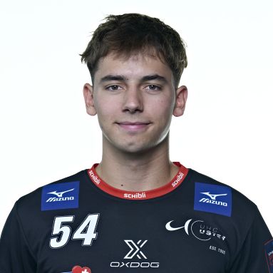 Timo Renner