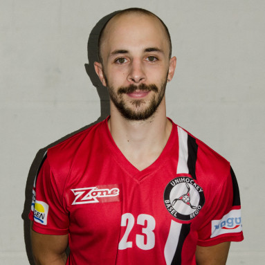 Carlo Wildi