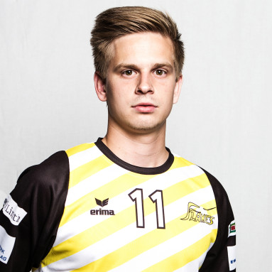 Ilija Swoboda