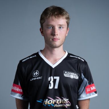 Luca Bacciarini