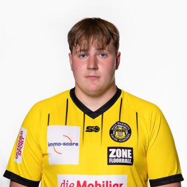 Niko Rendic