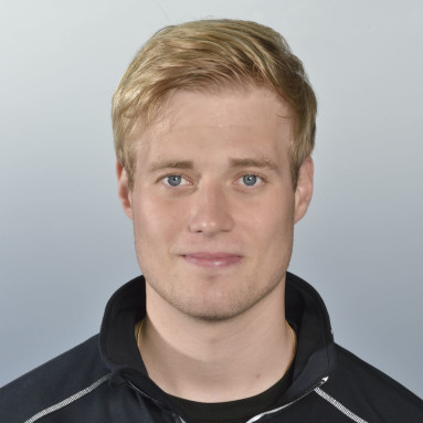 Mauro Montani