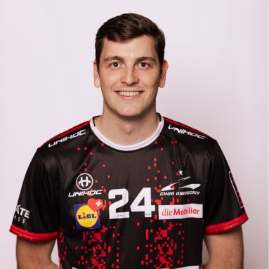Sandro Mani