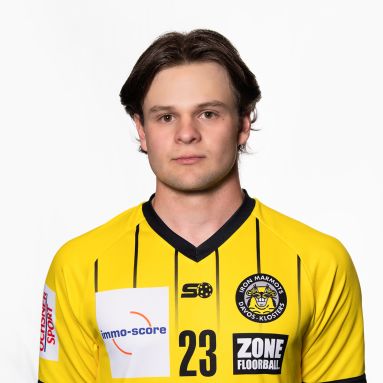 Felix Kaufmann