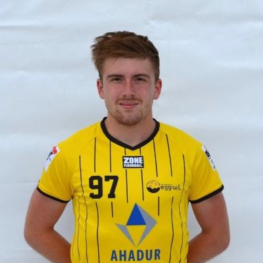 David Lehmann