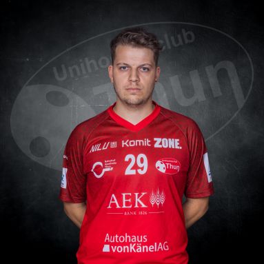 Timo Wiedmer
