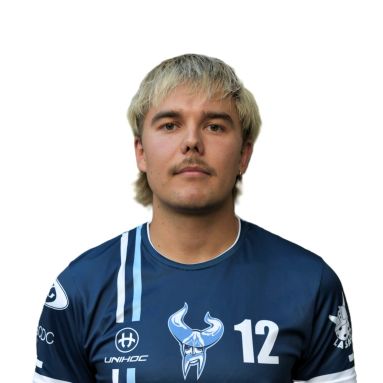 Elmo Lavonen