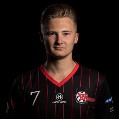 Daan van Welie