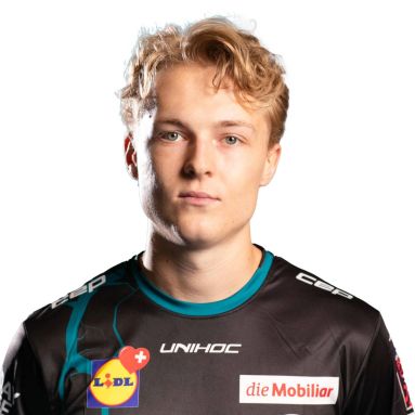 Portrait Arvid Skrapste