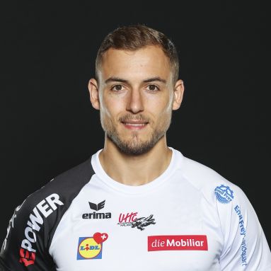 Sandro Breu
