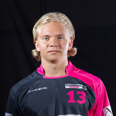 Edvin Rönnblom