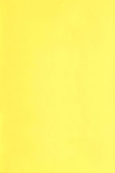Nadine Spengler - © Swiss Design Awards Blog