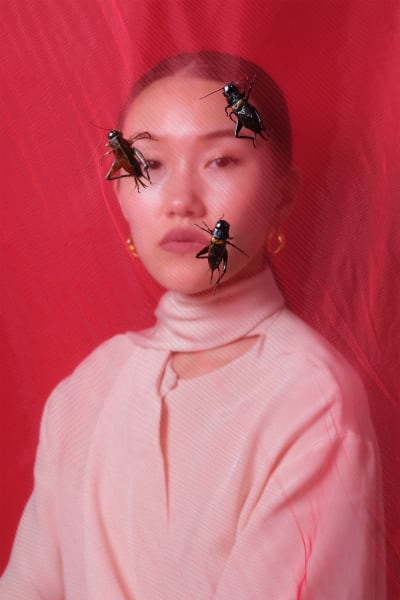 *Crickets* - © @ Laurence Kubski, Swiss Design Awards Blog