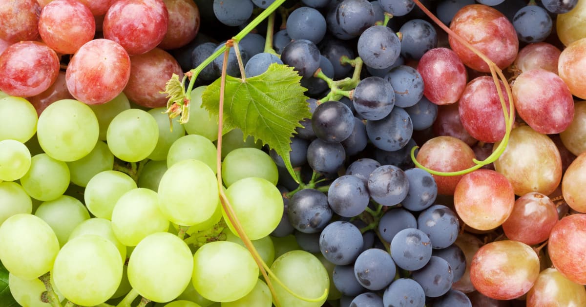 Trauben: Jetzt Saison? | Swissmilk Trauben: Jetzt Saison? | Swissmilk