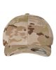 Multicam Arid