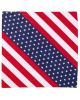 USA Flag