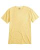 Summer Squash Yellow