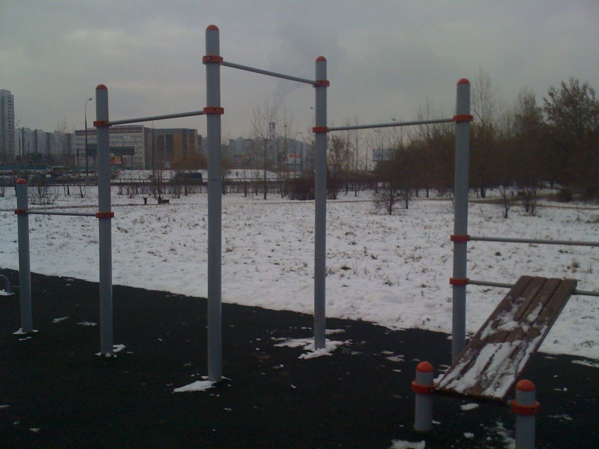 Moscow - Street Workout Park - Workout Живописный