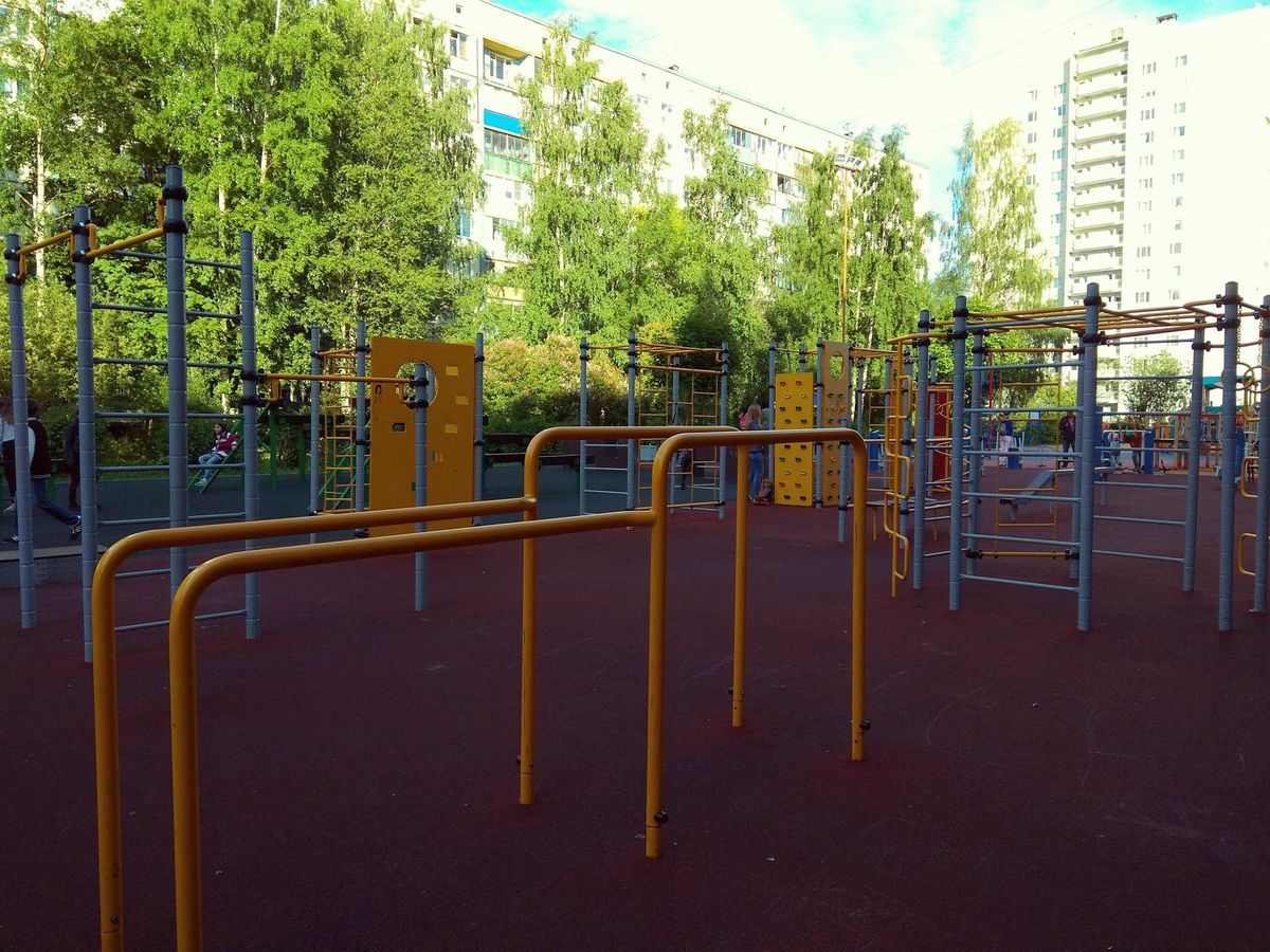 Saint Petersburg - Street Workout Park - Улица Подвойского