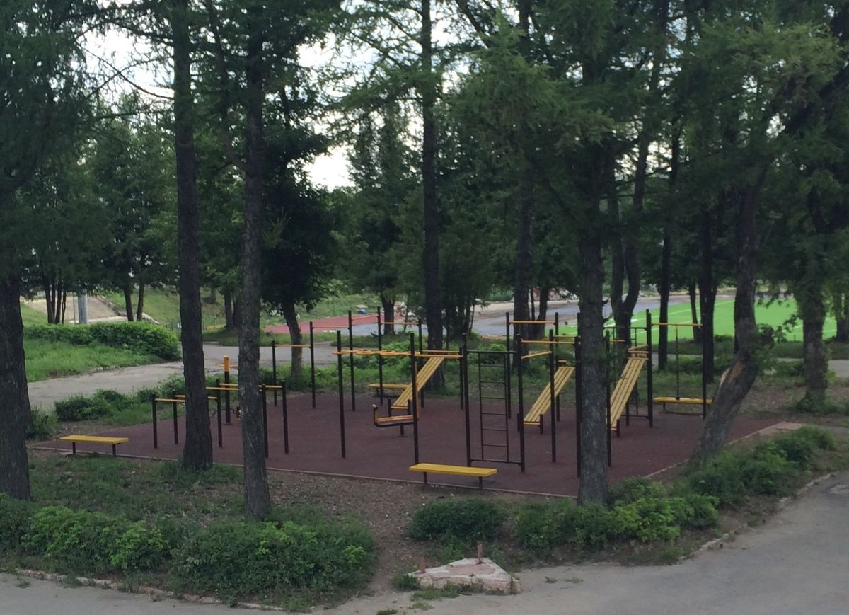 Tula - Calisthenics Gym - Стадион «Металлург»