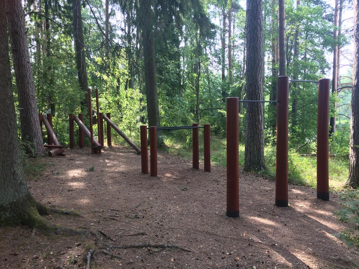 Kurepalu - Street Workout Park - Tõrvandi Roiu Uniküla