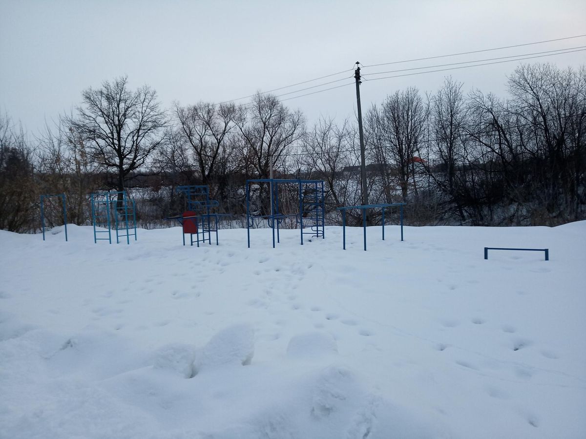 Kosyrevsky - Calisthenics Park - 398516