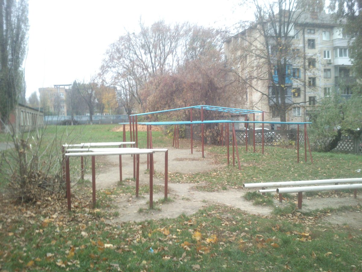 Kyiv - Calisthenics Park - Школа №46