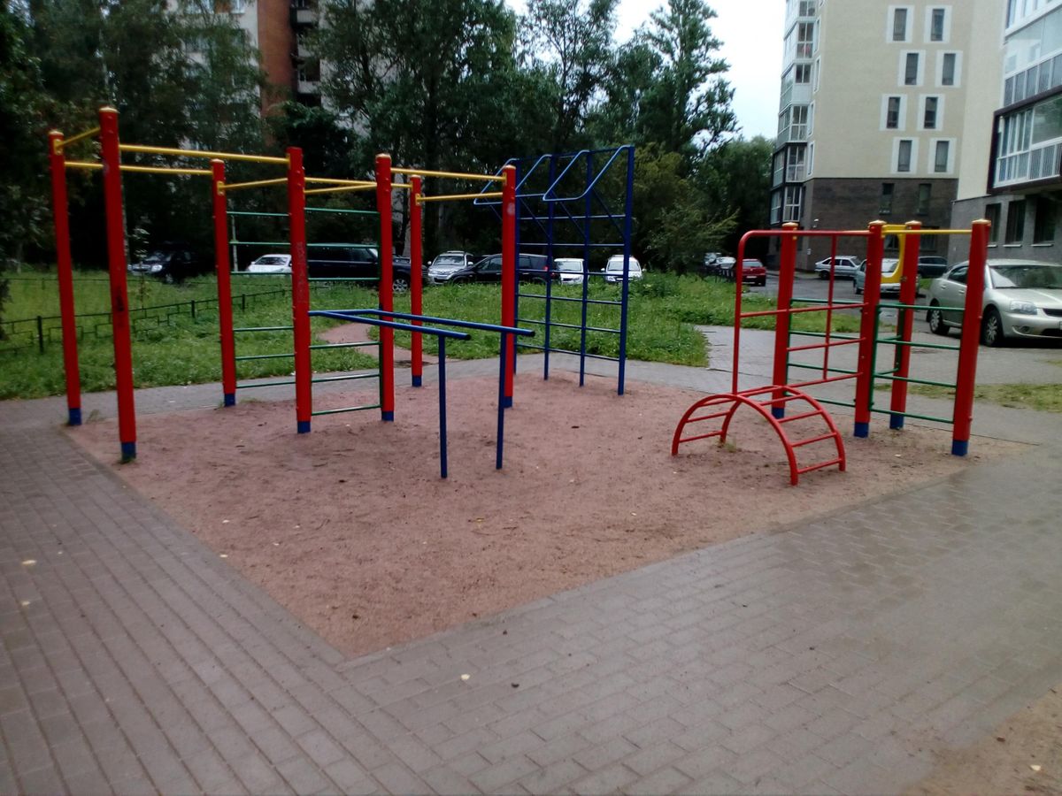 Saint Petersburg - Calisthenics Park - 2-Я Комсомольская Улица