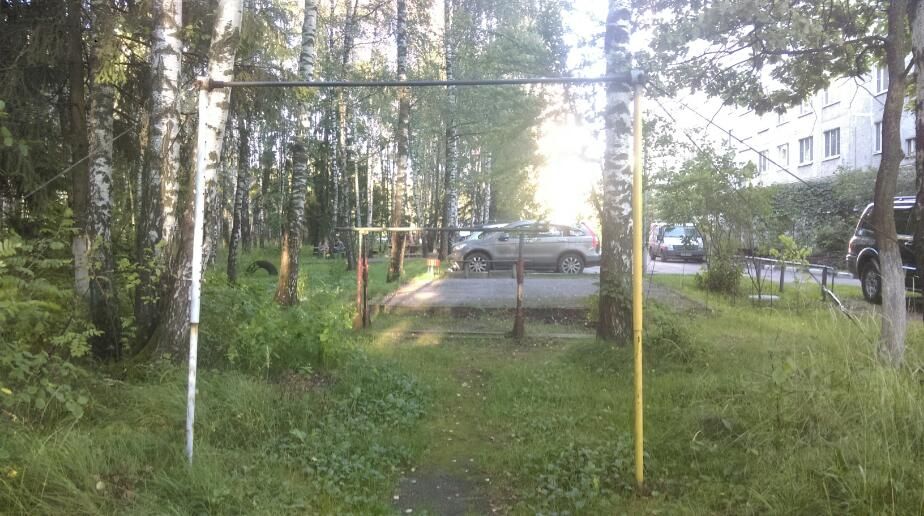 Balashikha - Calisthenics Gym - Ул Садовая (Заря)