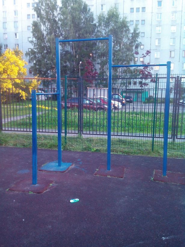 Saint Petersburg - Street Workout Park - Пр-Кт Заводской