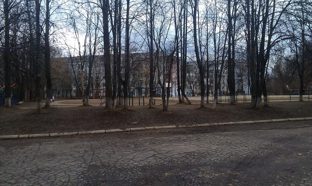 Vladimir - Street Workout Park - Школа 31