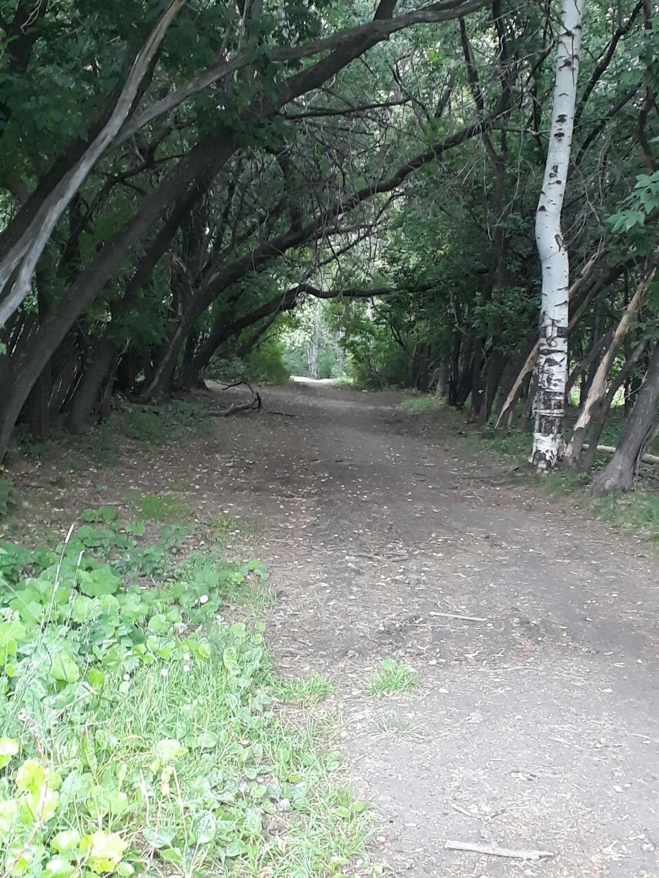 Verkhnyaya Pyshma - Fitness Park - Городской Парк