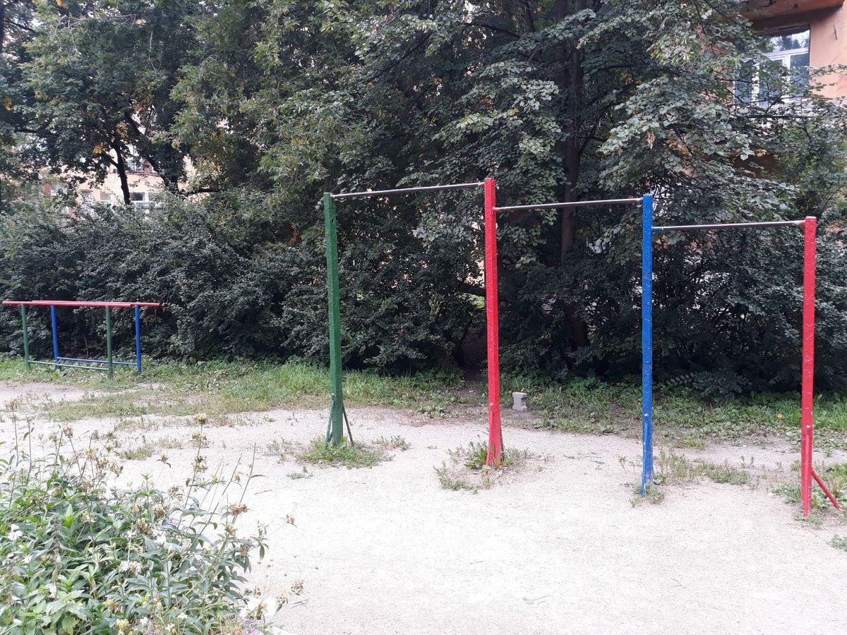 Yekaterinburg - Street Workout Park - Живика