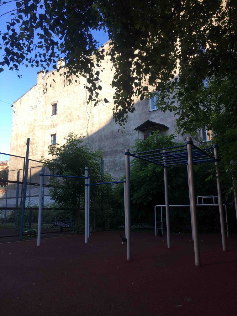 Saint Petersburg - Street Workout Park - 9-Я Линия ВО.