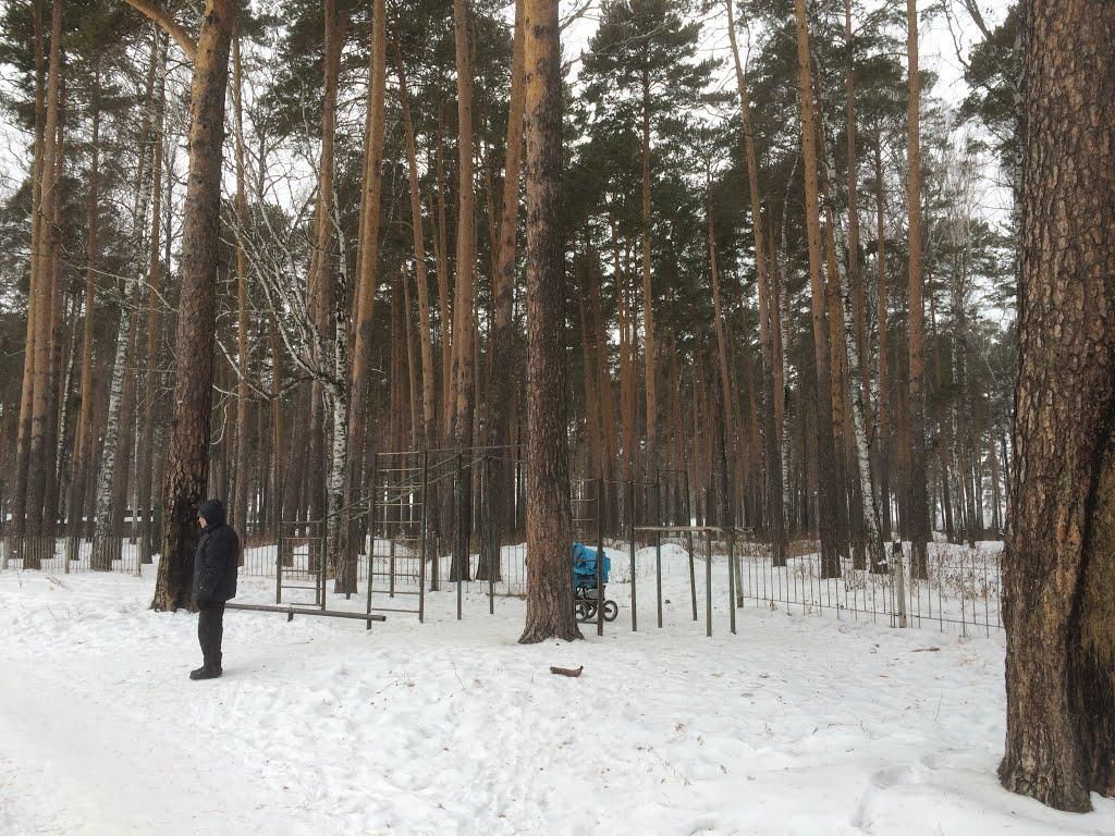 Yekaterinburg - Outdoor Gym - Поселок Исток