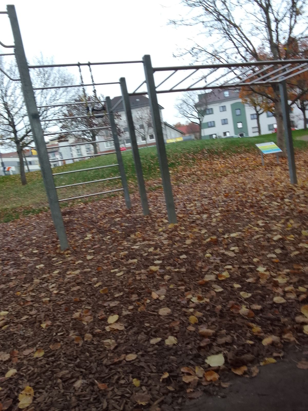 Ludwigshafen am Rhein - Calisthenics Park - Von-Weber-Straße