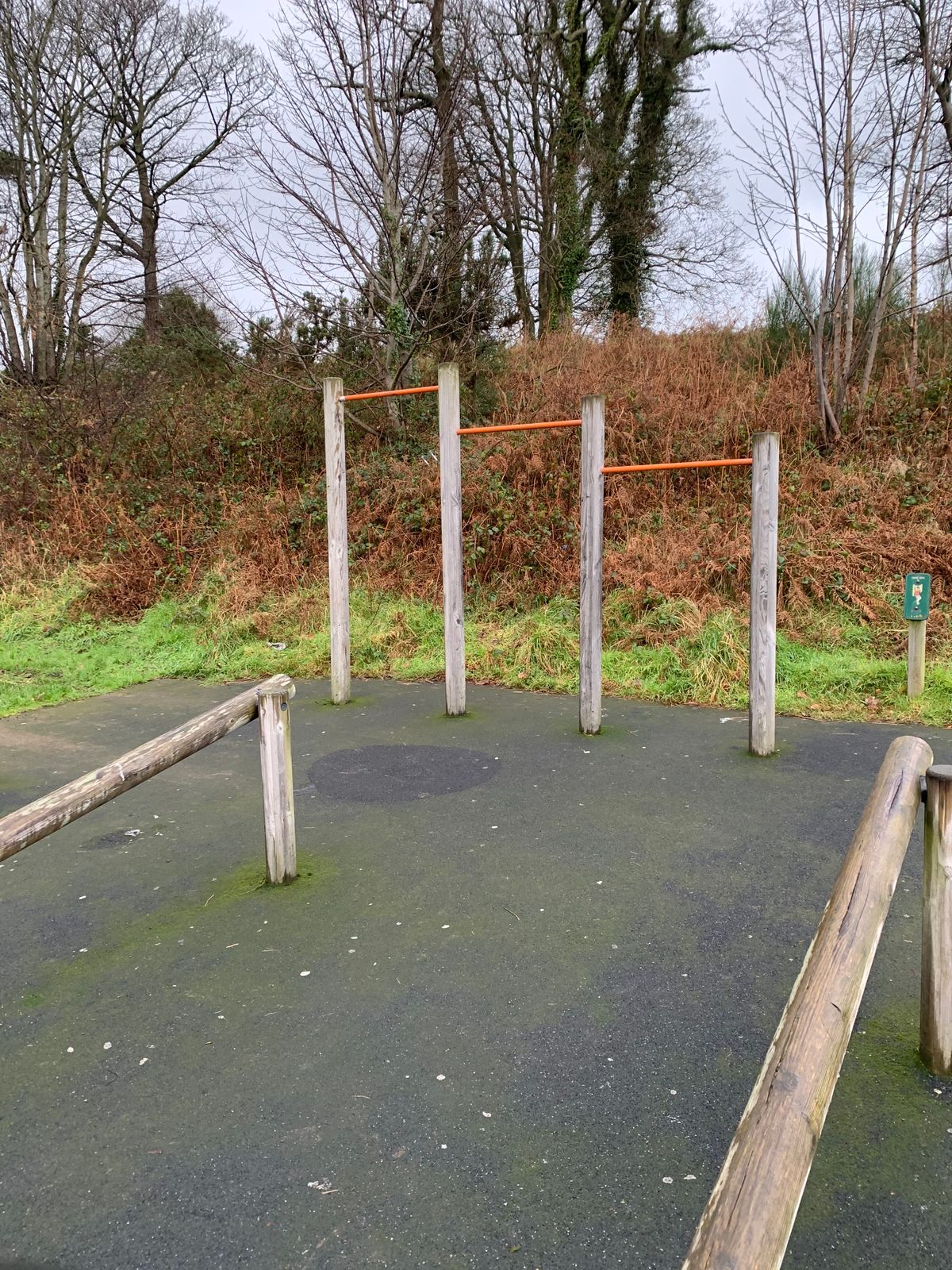 Bangor - Pull up bars - Castle Park