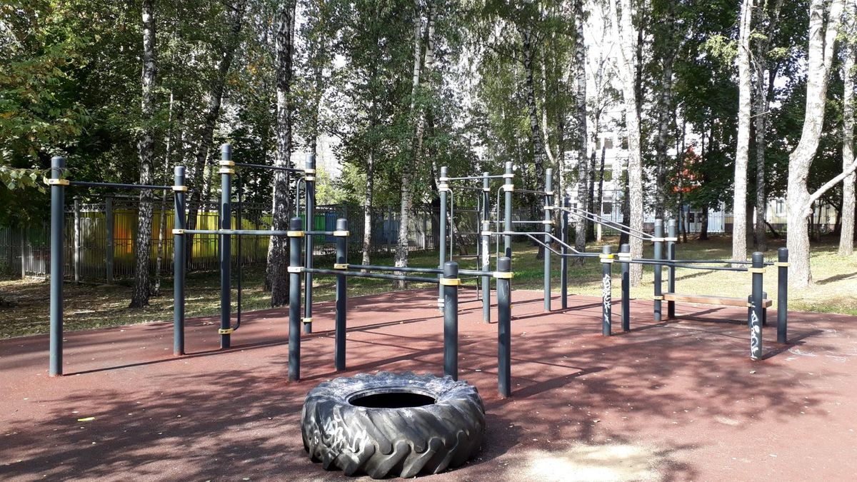 Bodyweight fitness - Moscow - Calisthenics workout