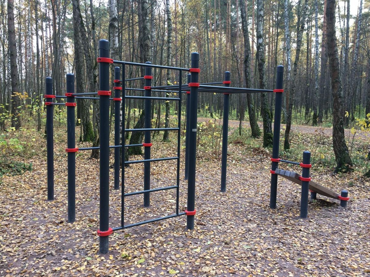 Outdoor workout - Novoivanovskoe - Calisthenics workout