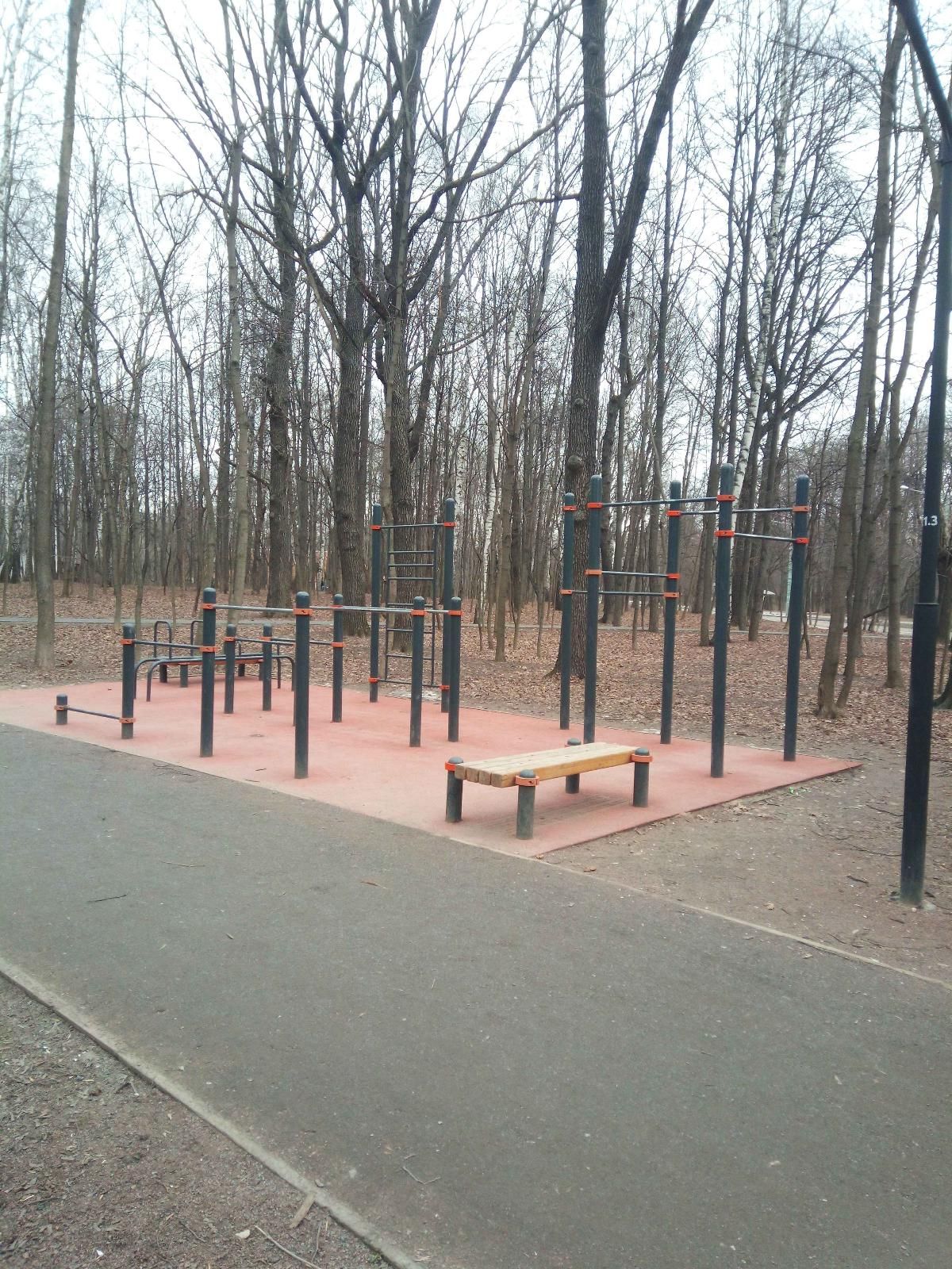 🥇Public Pull Up Bars Moscow Outdoor Fitness Sokolniki Park