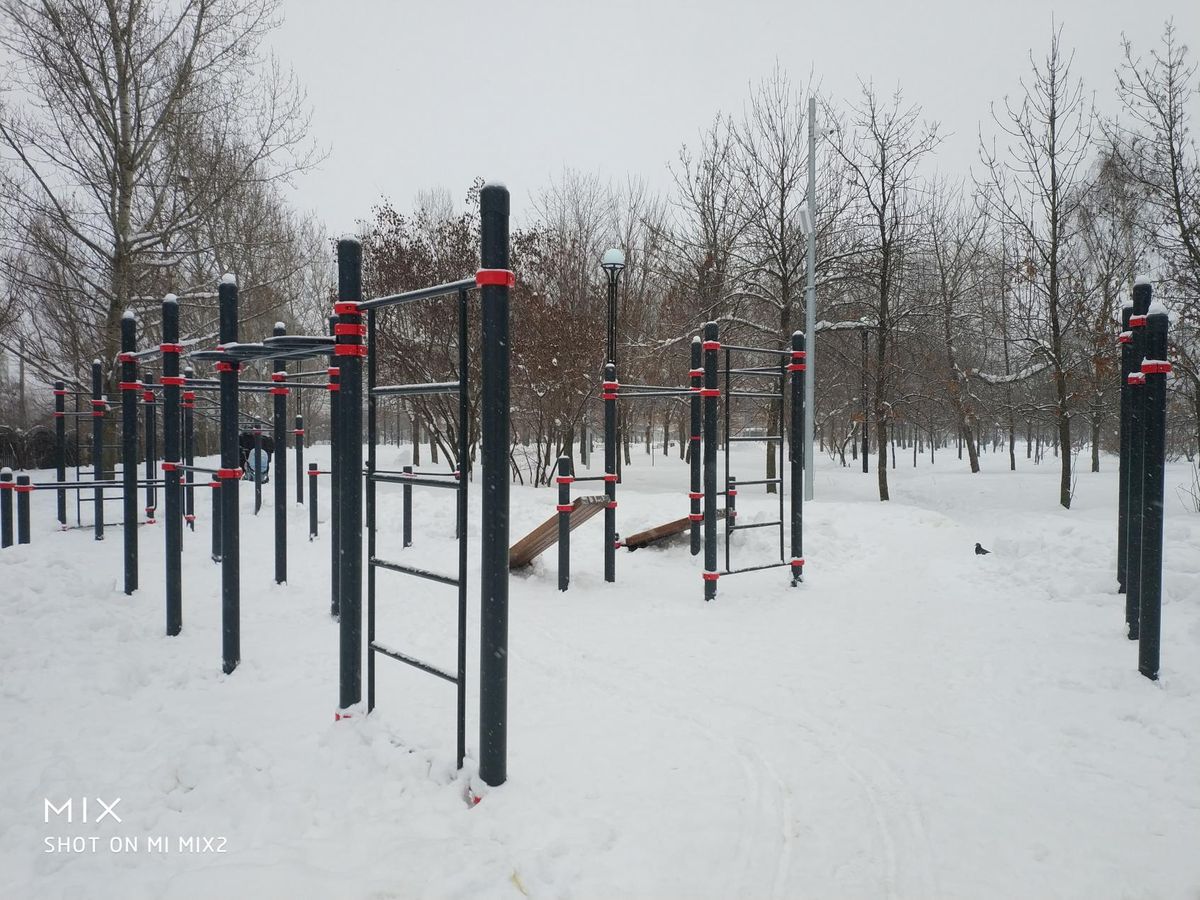 Outdoor workout - Moscow - Calisthenics workout