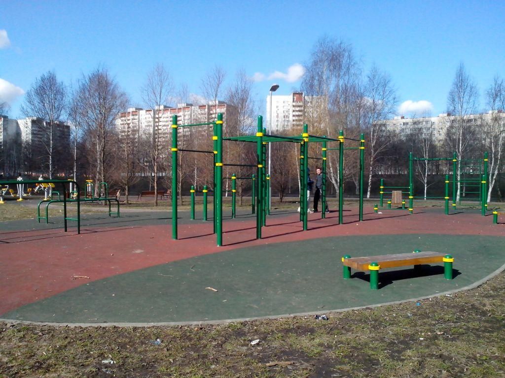 Outdoor fitness - Moscow - Calisthenics workout